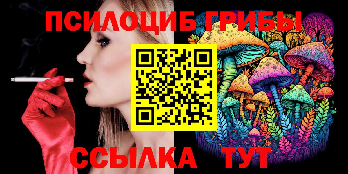 Галлюциногенные грибы Psilocybine cubensis Калининград