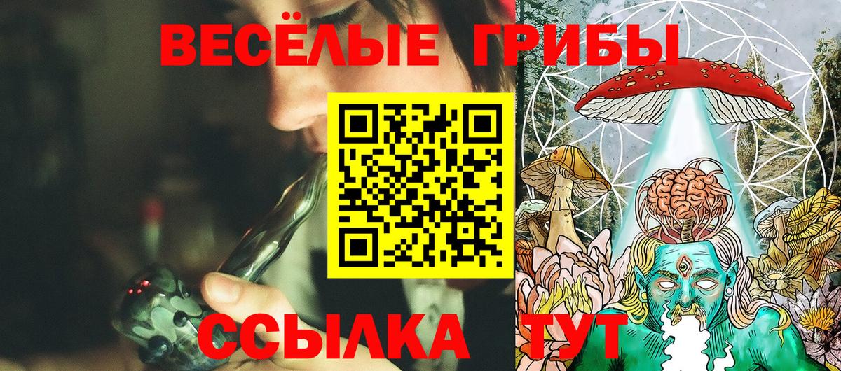 Калининград  Галлюциногенные грибы ЛСД  где можно купить наркотик  Вход с VPN 